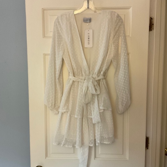 Lioness Legendary Lovers Plunge Dress White Swiss Dot Mini Tie Waist US 4 NWT - Picture 2 of 12